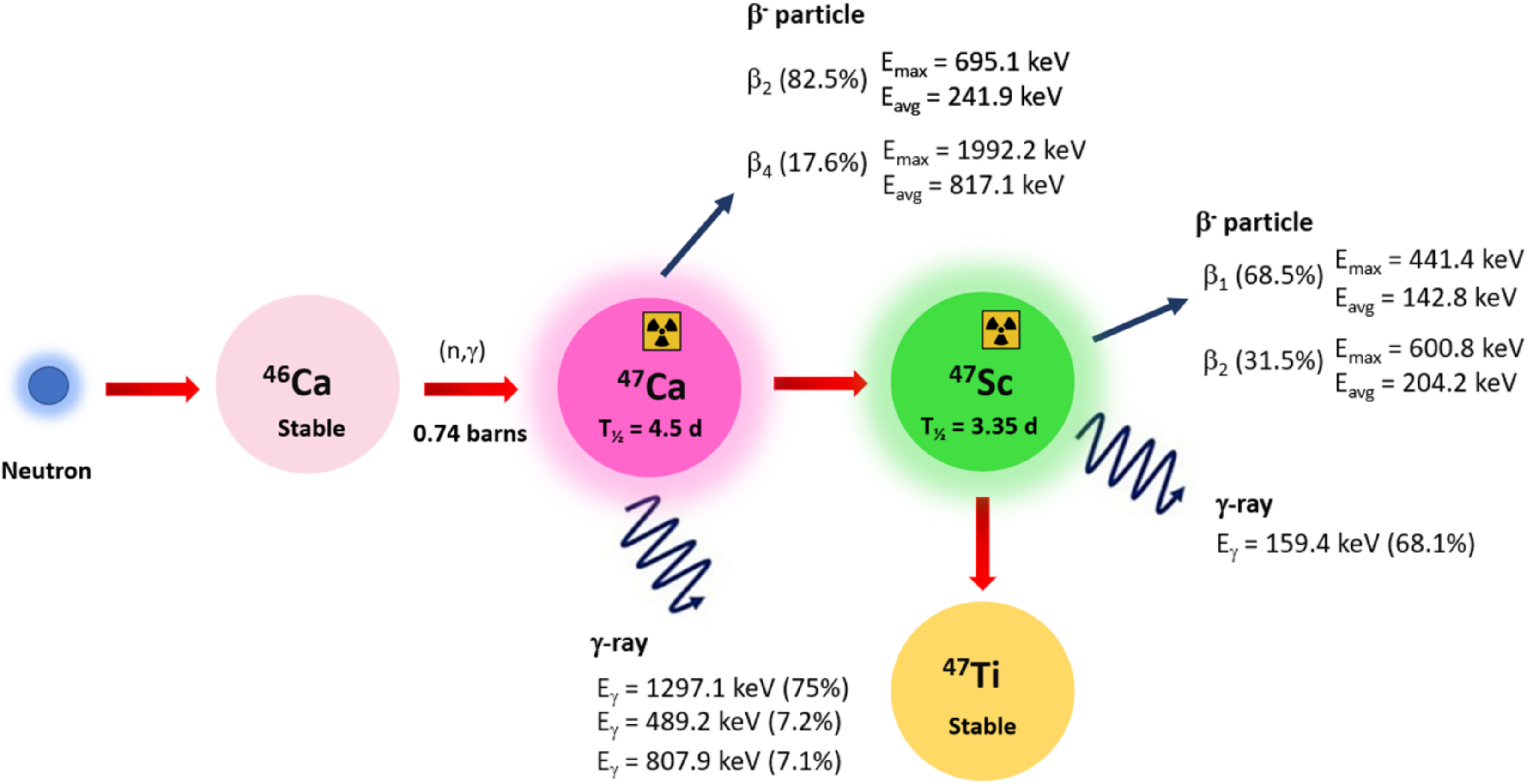 Skand-47 – radioizotop przyszłości w walce z rakiem