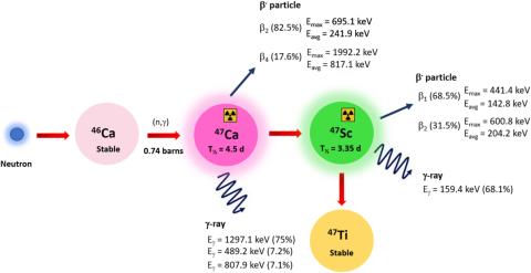 Skand-47 – radioizotop przyszłości w walce z rakiem