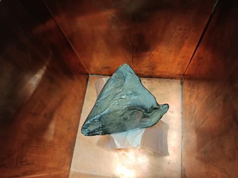 Meteoryt spod Łodzi pod lupą naukowców z NCBJ